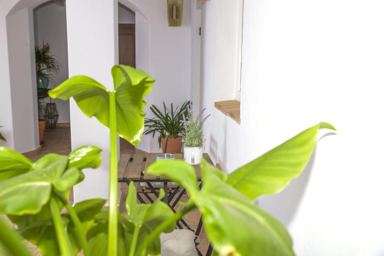 ベヘール・デ・ラ・フロンテーラCasa Arbonaidaアパートメント エクステリア 写真